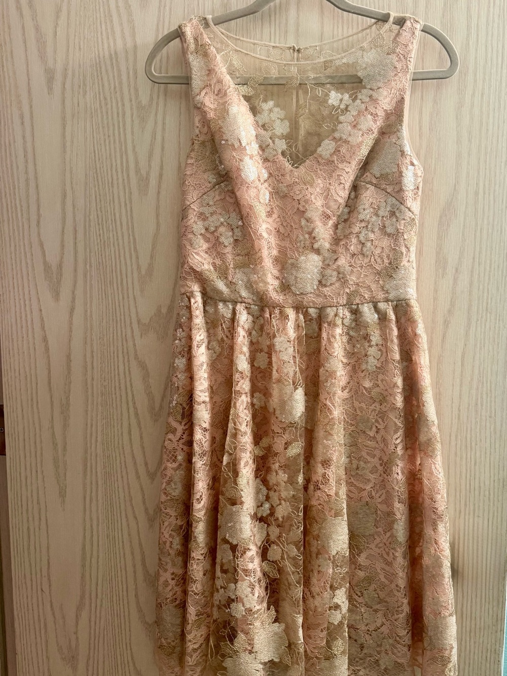 Vera Wang Sleeveless Lace A-Line Dress in Blush and Cream